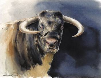 Longhorn Bull